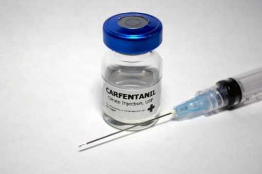 Carfentanyl Online Suppliers